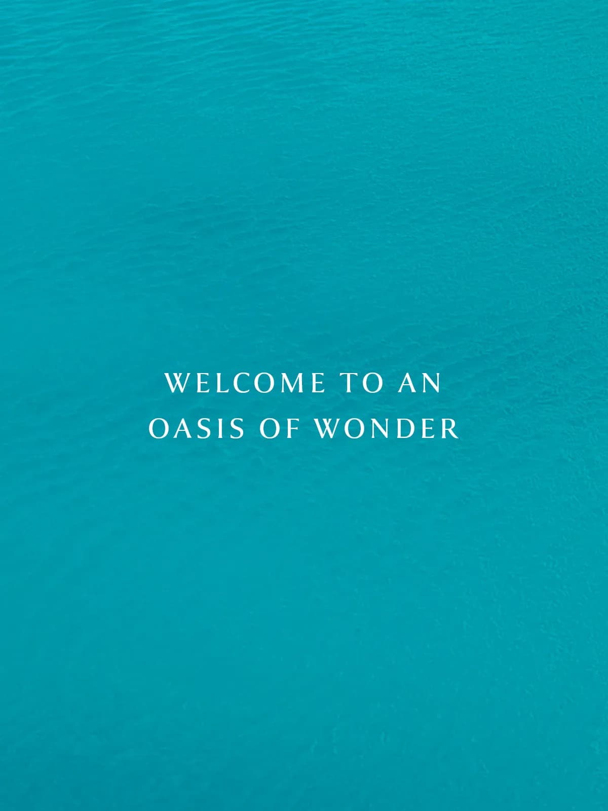 Damac Islands — image 2